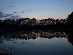 Competities HSV Alfheim